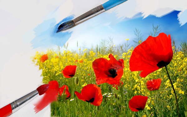 COQUELICOTS