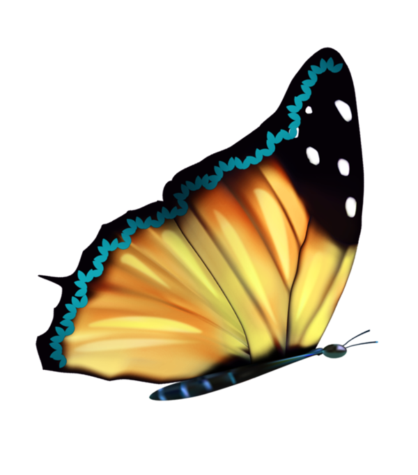 PAPILLON