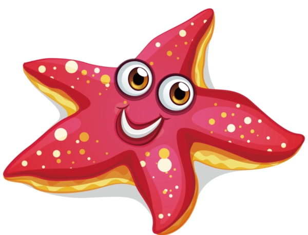 ETOILE DE MER