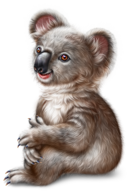 KOALA