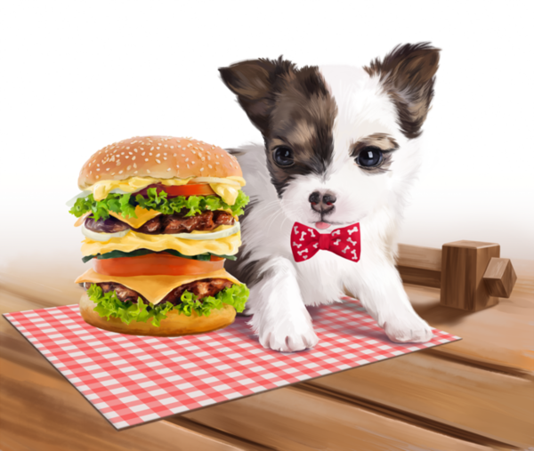CHIEN 5