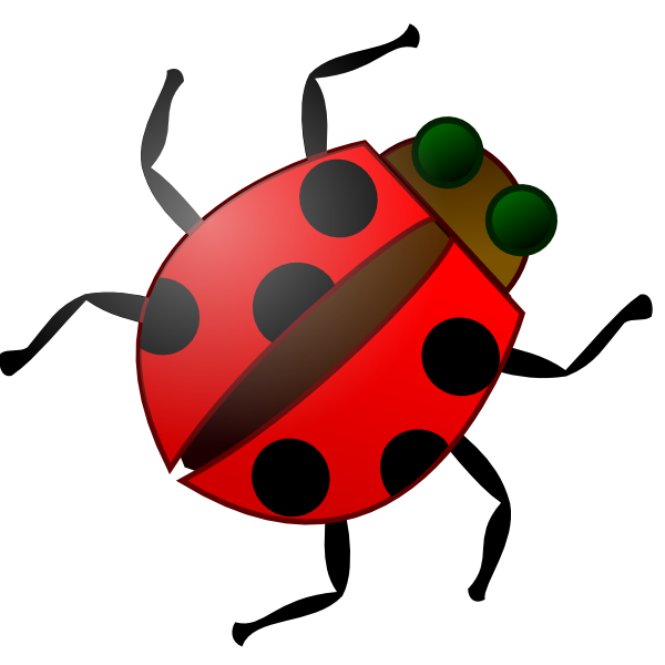 COCCINELLE