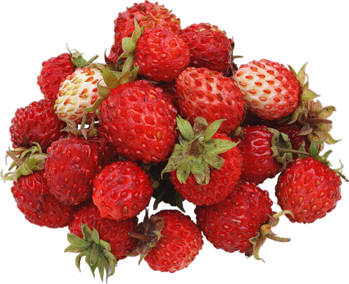 LES FRAISES