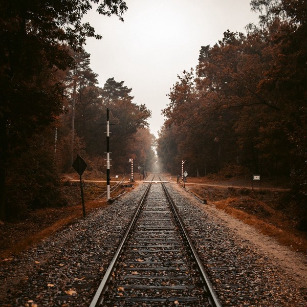 RAILS DE CHEMIN DE FER