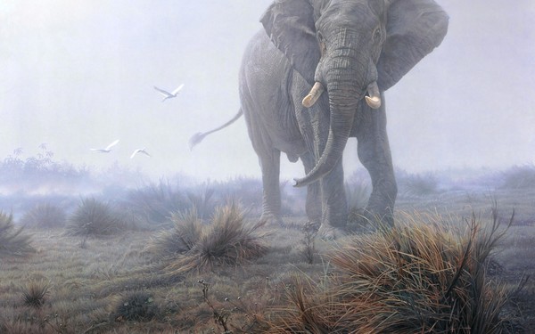 ELEPHANT