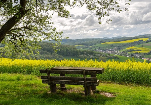 LE BANC