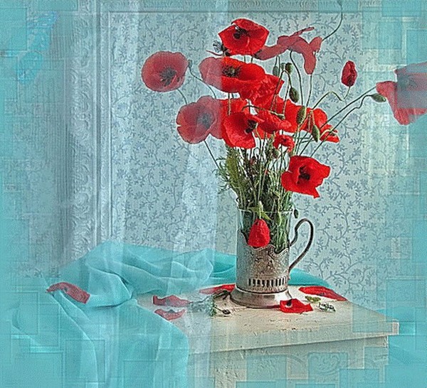 COQUELICOTS