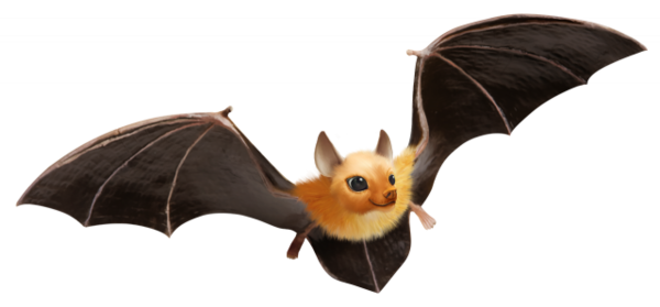 CHAUVE SOURIS