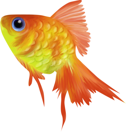 POISSON