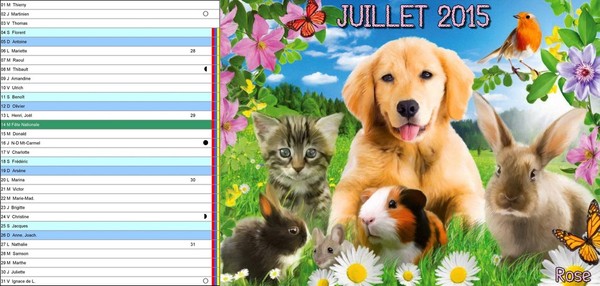 CALENDRIER JUILLET 2015