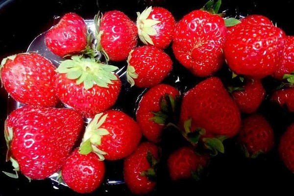 LES FRAISES