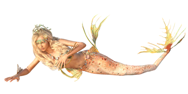 TUBE SIRENE 2