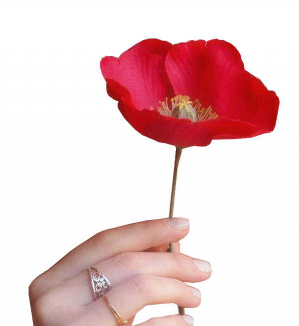 COQUELICOT