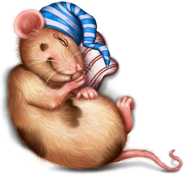 SOURIS RAT HAMSTER... 2