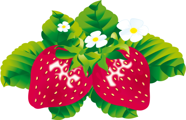 LES FRAISES