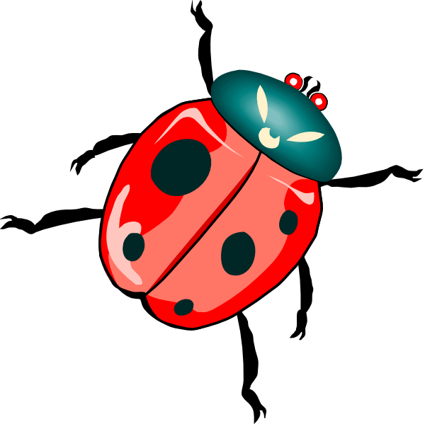 COCCINELLE