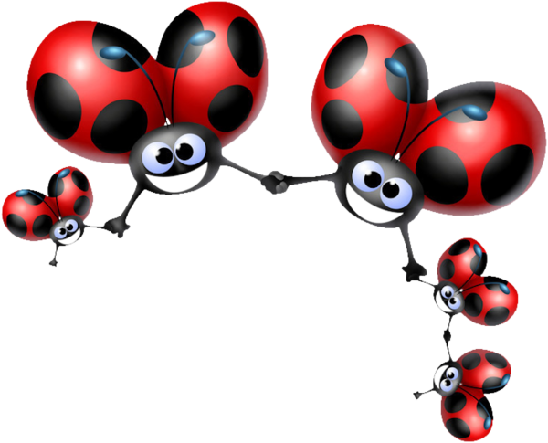 COCCINELLE