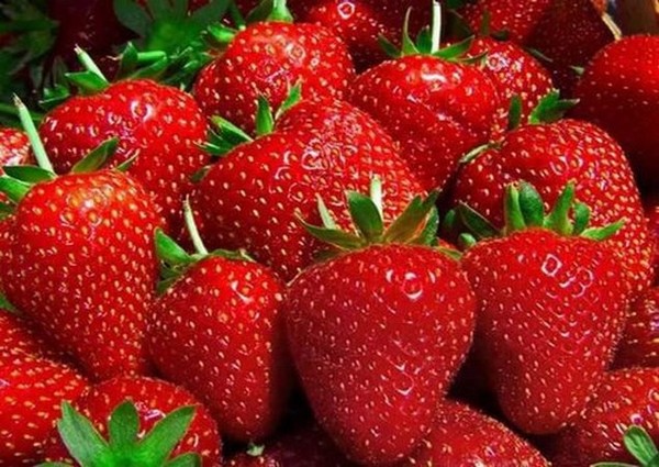 LES FRAISES