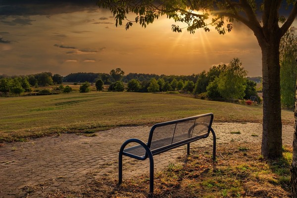 LE BANC 2