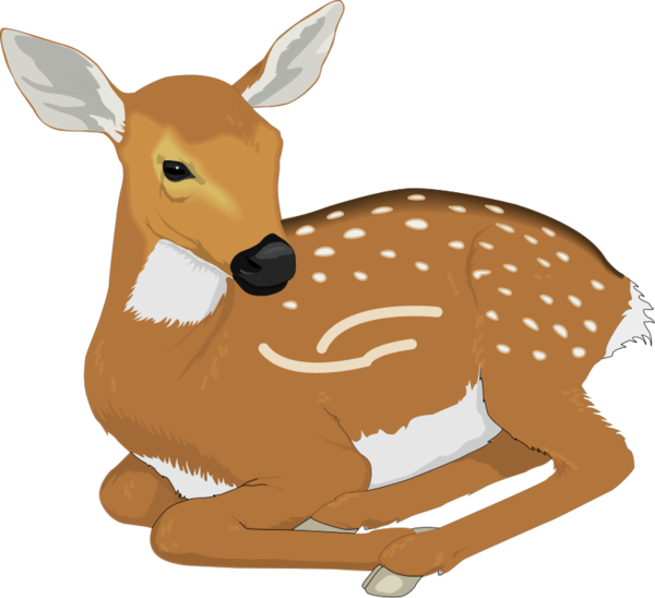 BICHE