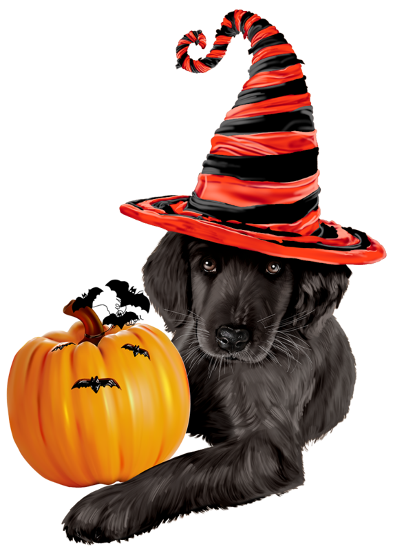 TUBE HALLOWEEN CHIEN