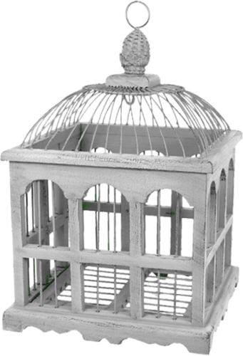 LA CAGE 2