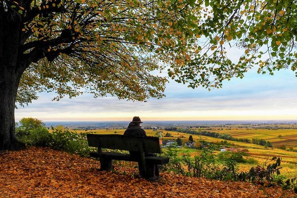 LE BANC 2