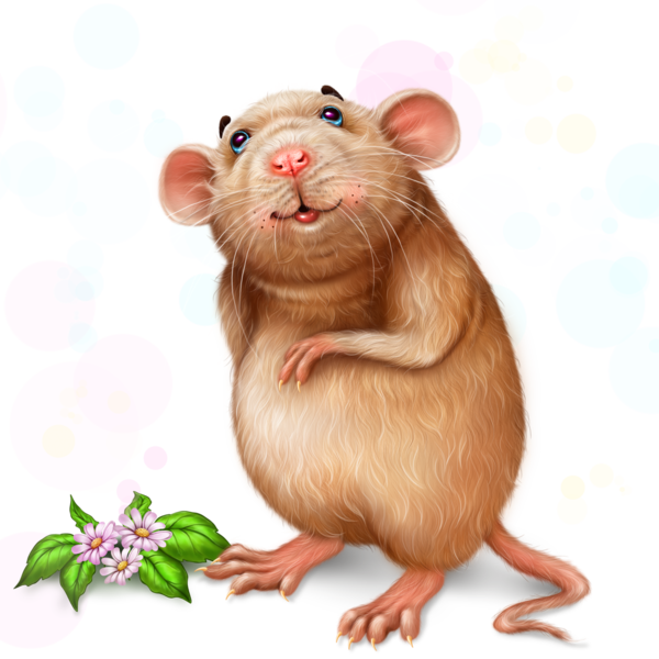 SOURIS RAT HAMSTER... 2