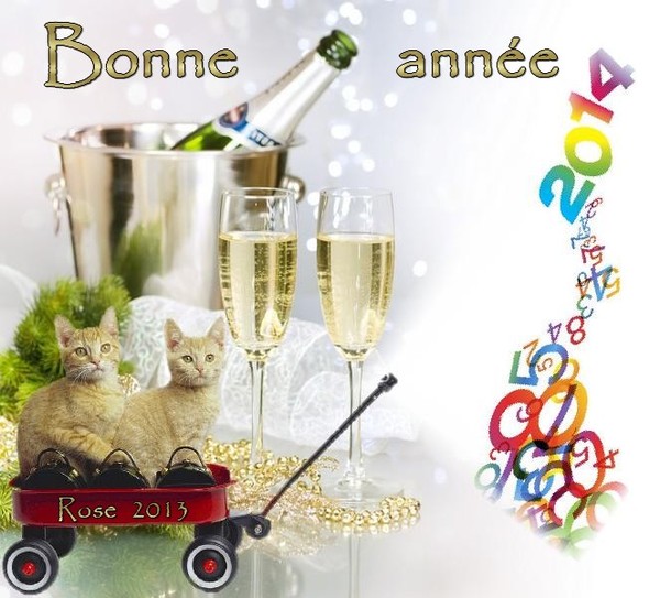 BONNE ANNEE 2014