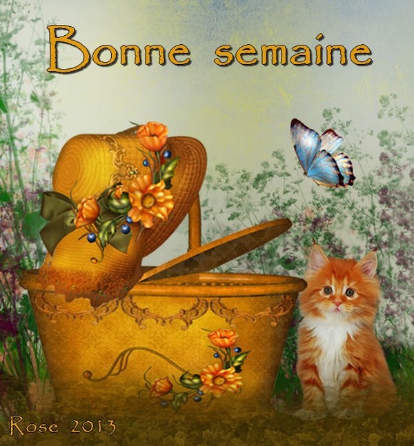 BONNE SEMAINE