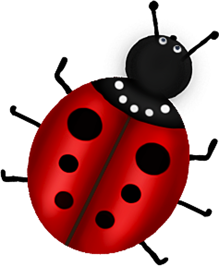 COCCINELLE 2