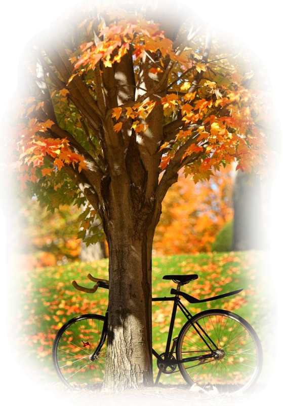 TUBE AUTOMNE