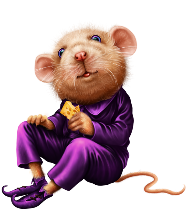 SOURIS RAT HAMSTER... 2