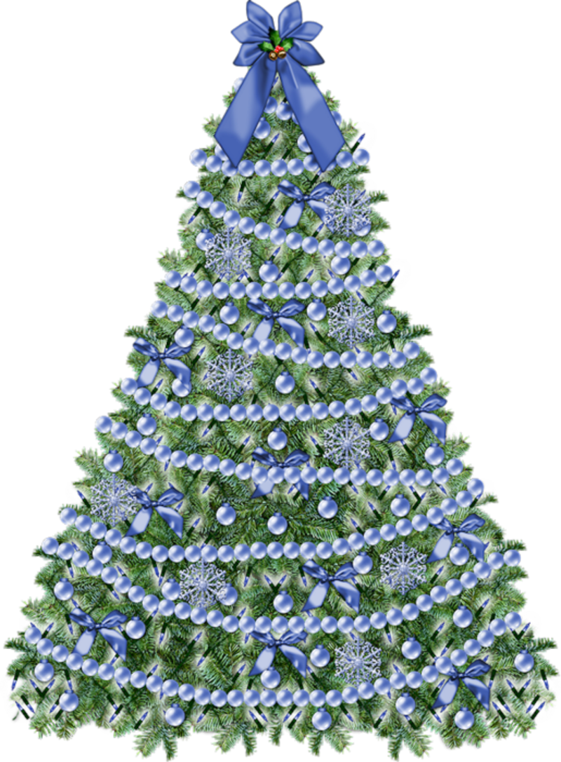 314-3143136_blue-christmas-tree-png-download-christmas-tree-no.png