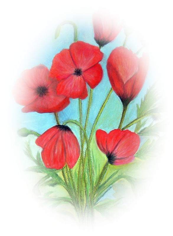 COQUELICOTS