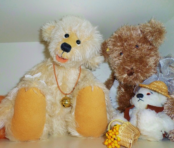 LES PELUCHES (OURS ET COMPAGNIES) 3