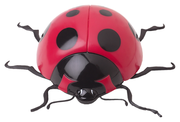 COCCINELLE