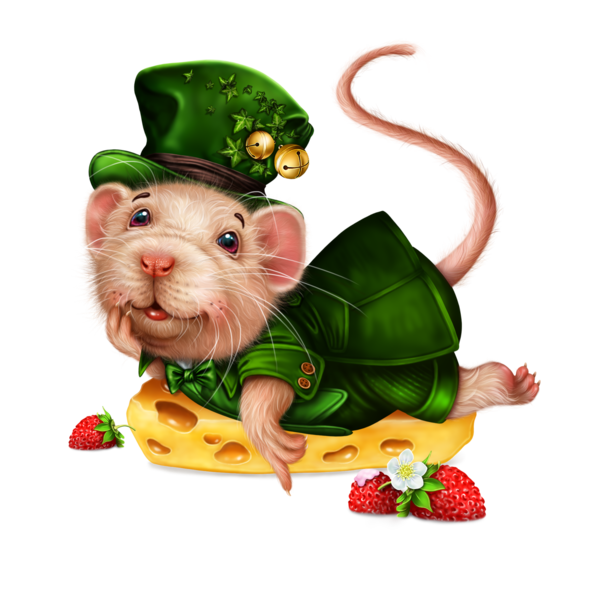 SOURIS RAT HAMSTER... 2