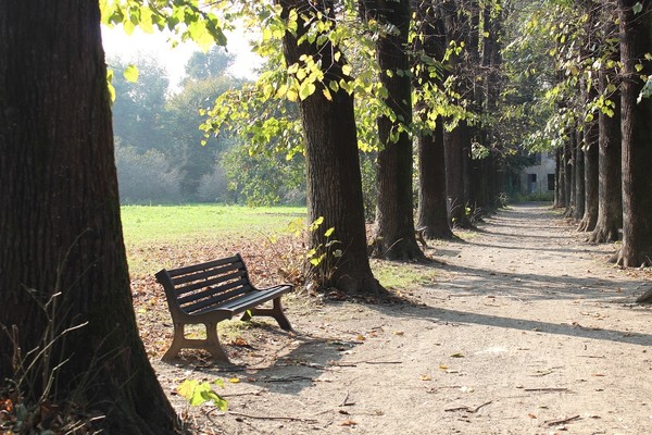 LE BANC 2