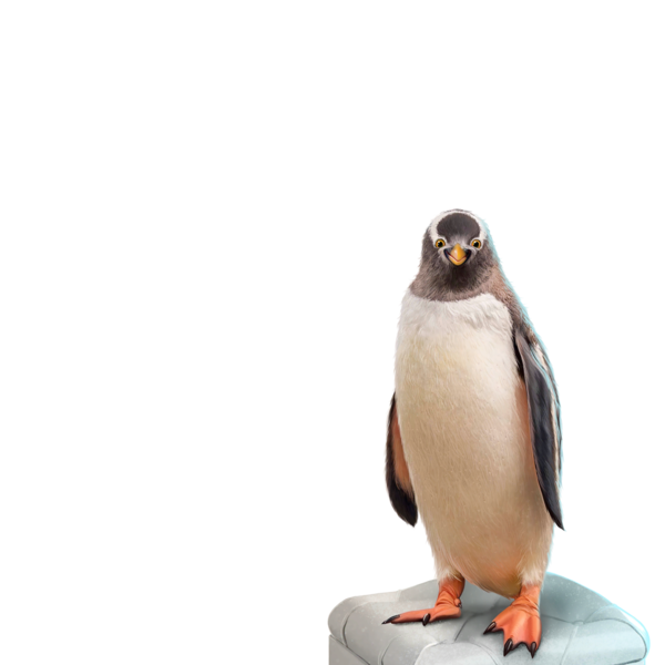 PINGOUIN