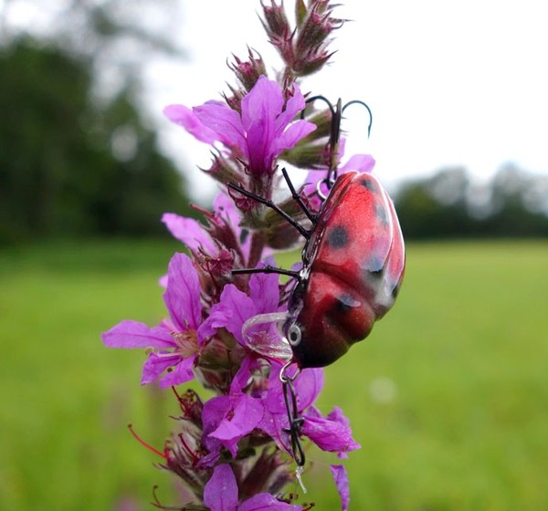 COCCINELLE