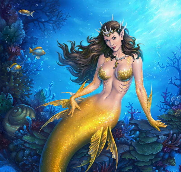 SIRENE 2