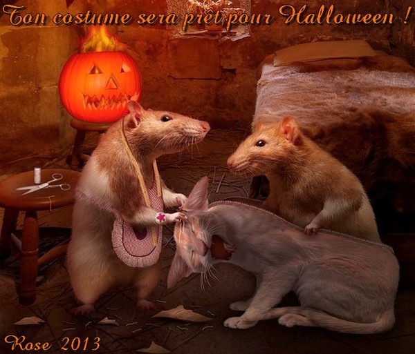 BIENTOT HALLOWEEN