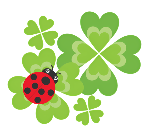 TUBE SAINT PATRICK ANIMAUX