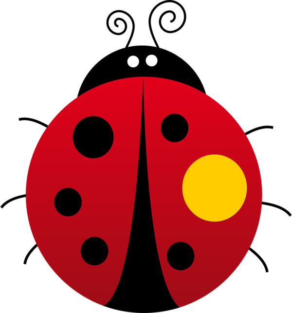 COCCINELLE