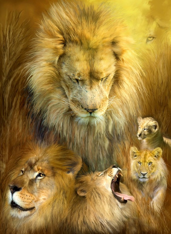 LIONS