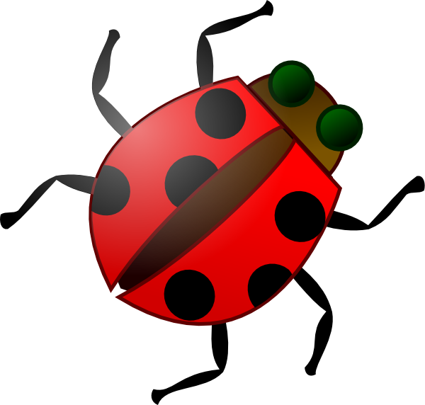 COCCINELLE