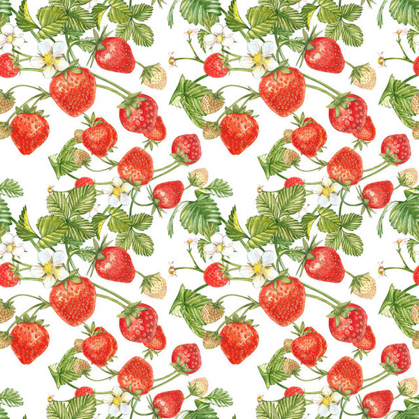 LES FRAISES 2