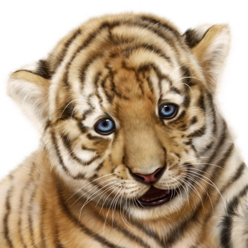 TIGRE