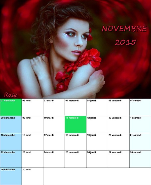 CALENDRIER NOVEMBRE 2015